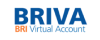 BRI Virtual Account